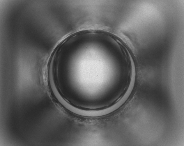 X0000041781242200411271512.png