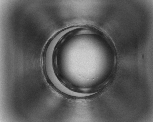 X0000042480843200412062041.png