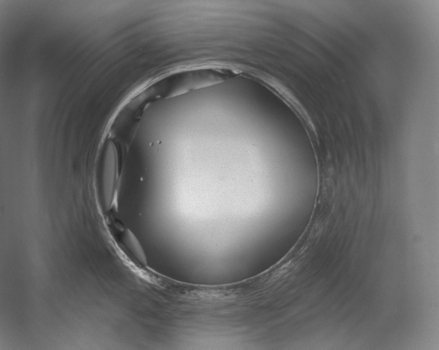 X0000055211197200508301313.png
