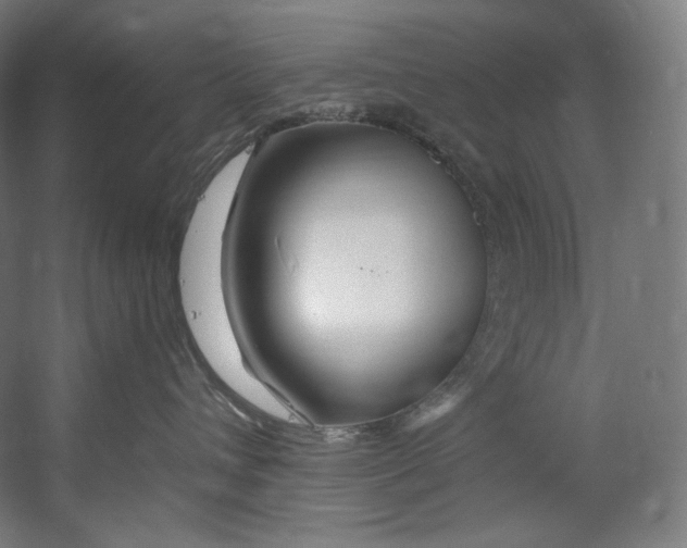 X0000055210432200508301326.png