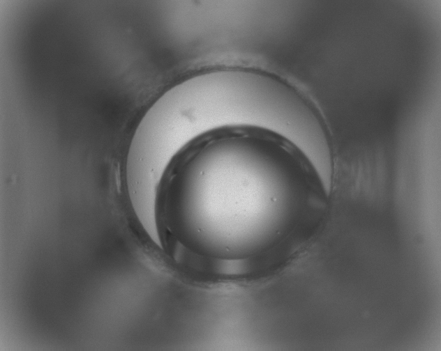 X0000054110061200508022110.png