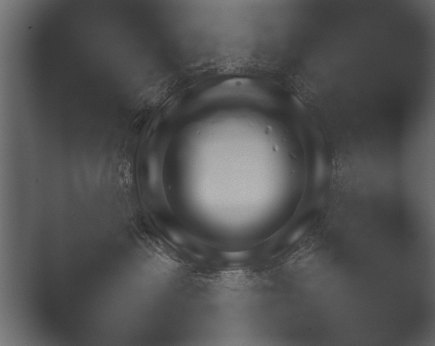 X0000052730479200507141550.png