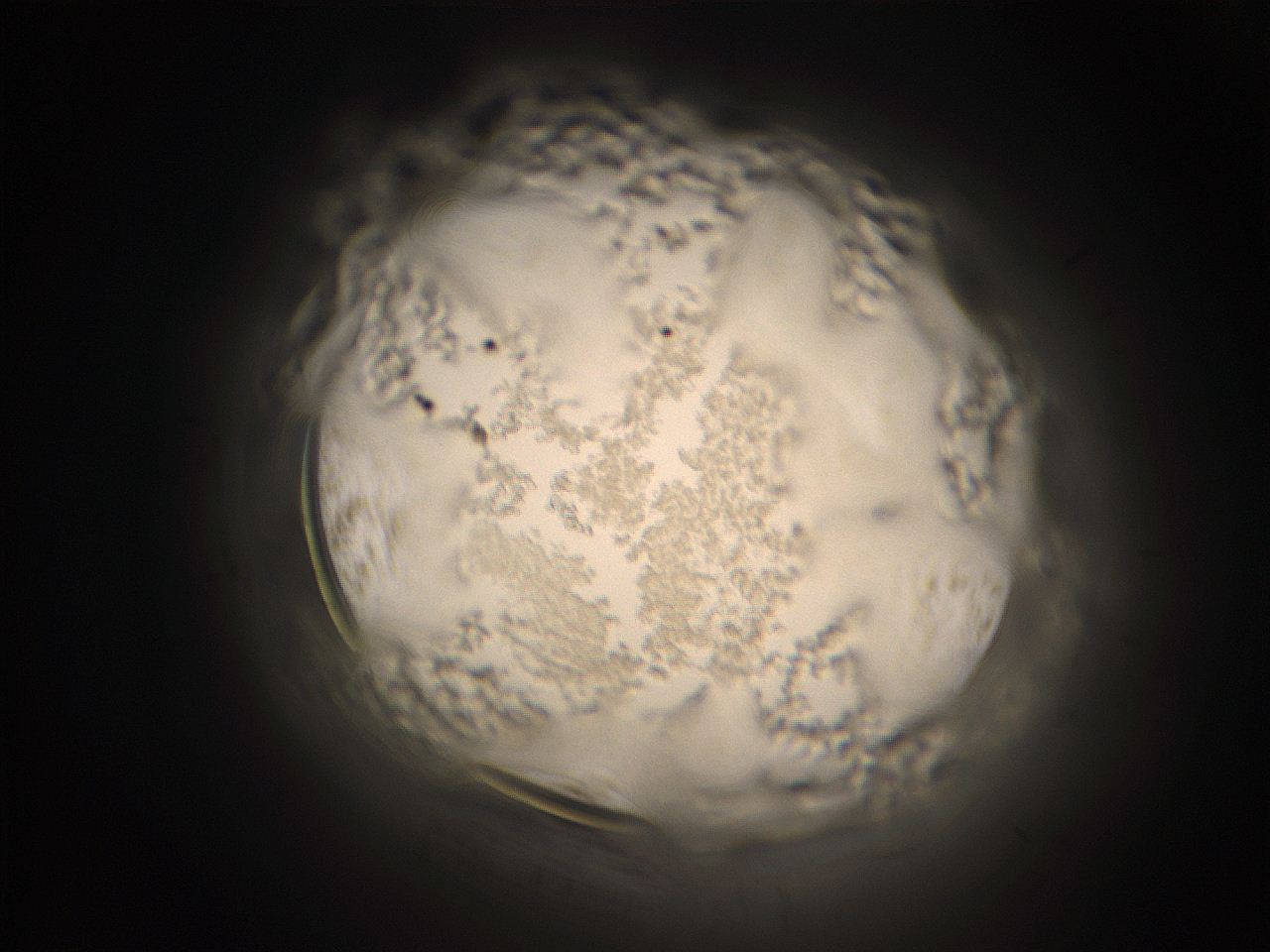 059h_C13_ImagerDefaults_7.jpg