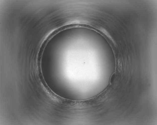 X0000054330972200508111914.png