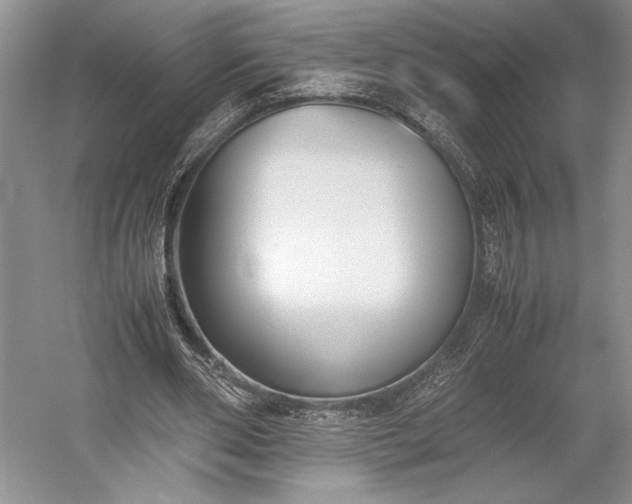 X0000055060486200508161649.png