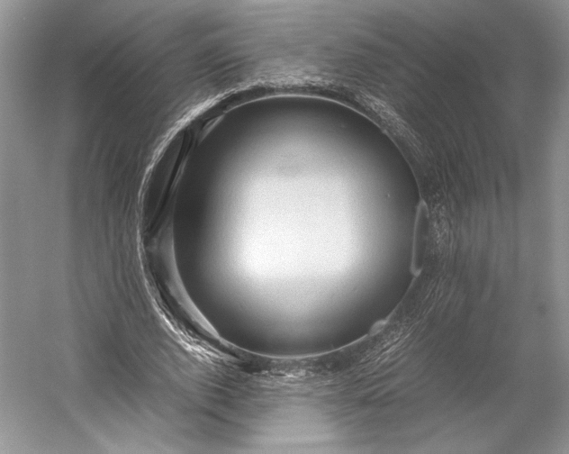 X0000055060728200508161645.png