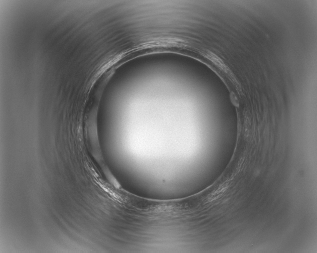 X0000055060834200508161643.png