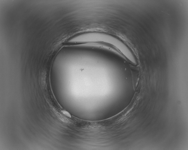 X0000055210201200508301330.png