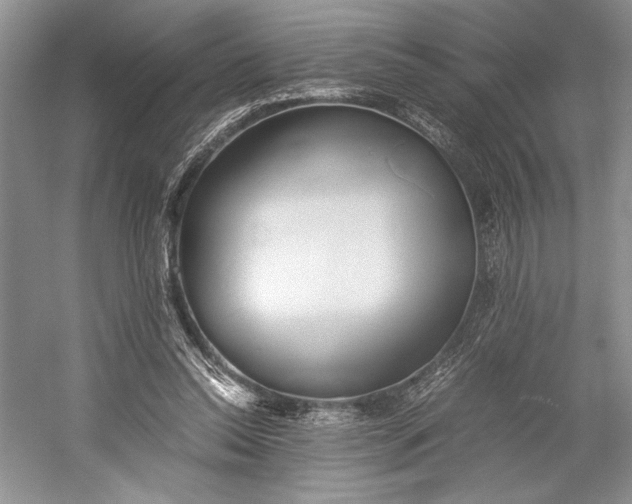 X0000055060350200508161651.png