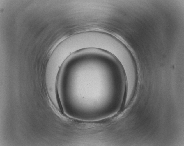 X0000054651289200508091632.png
