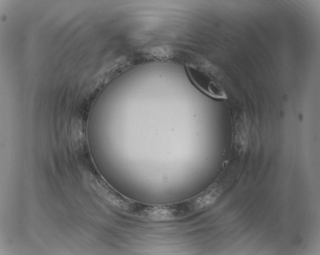 X0000054650518200508091645.png