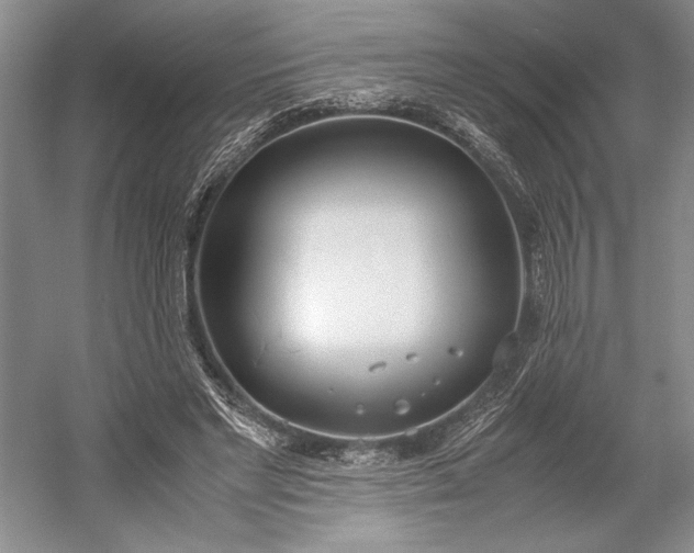 X0000055060493200508161649.png