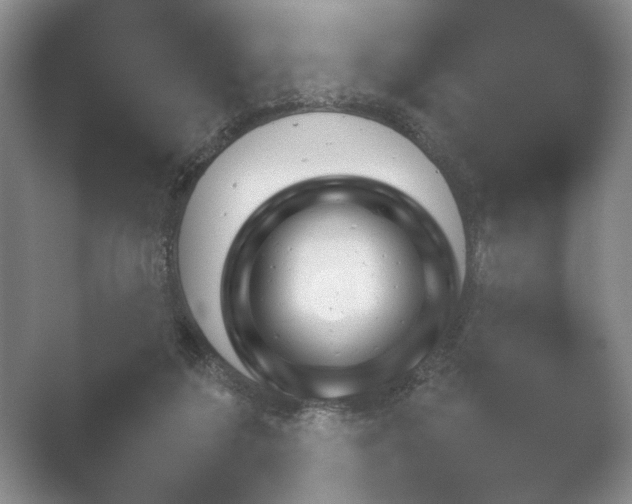 X0000052150211200507052000.png