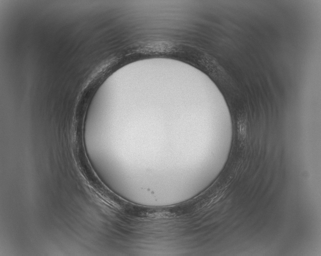 X0000055210396200508301327.png