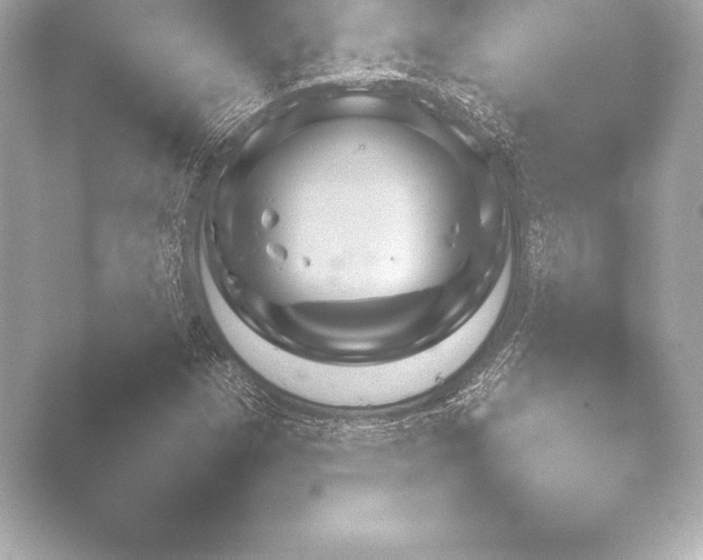 X0000048331257200503311910.png