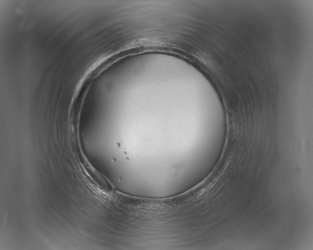 X0000055211070200508301316.png