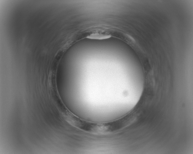 X0000054330217200508111927.png