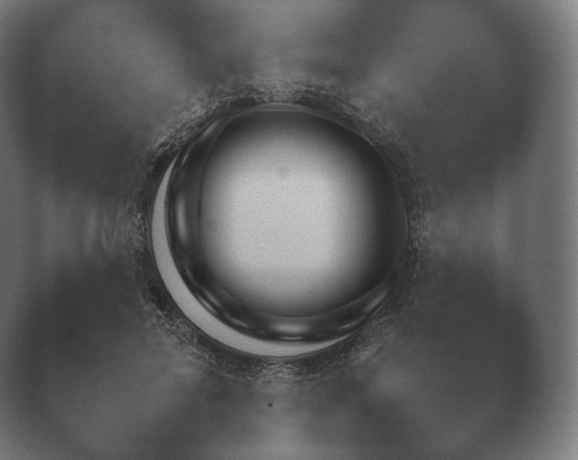 X0000038850599200410131830.png