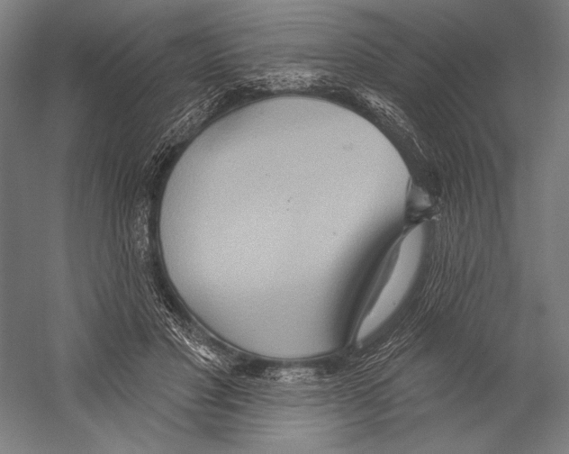 X0000055250501200509071619.png