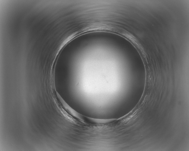 X0000055061242200508161637.png