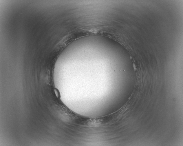X0000054330656200508111920.png