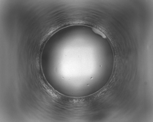 X0000055060345200508161651.png