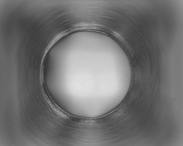X0000055211370200508301310.png
