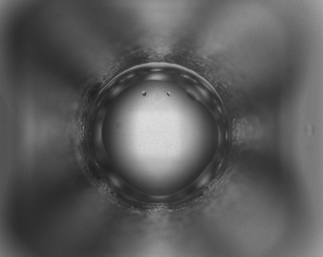 X0000045450468200502011701.png