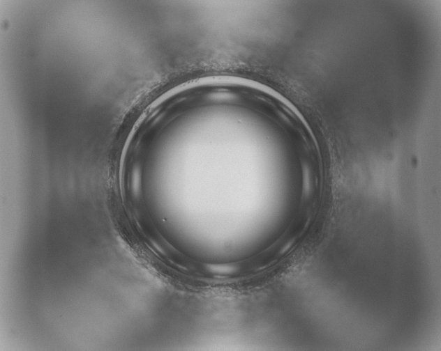 X0000052120490200507262055.png