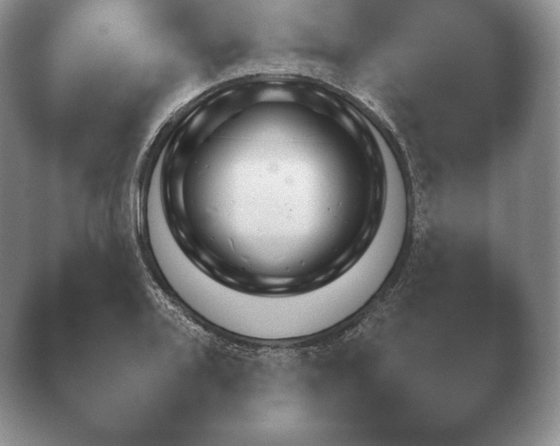 X0000040731080200410201645.png