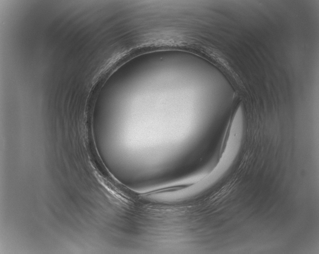 X0000055250677200509071616.png