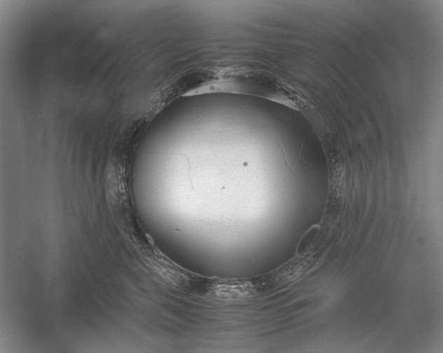 X0000055060571200508161649.png