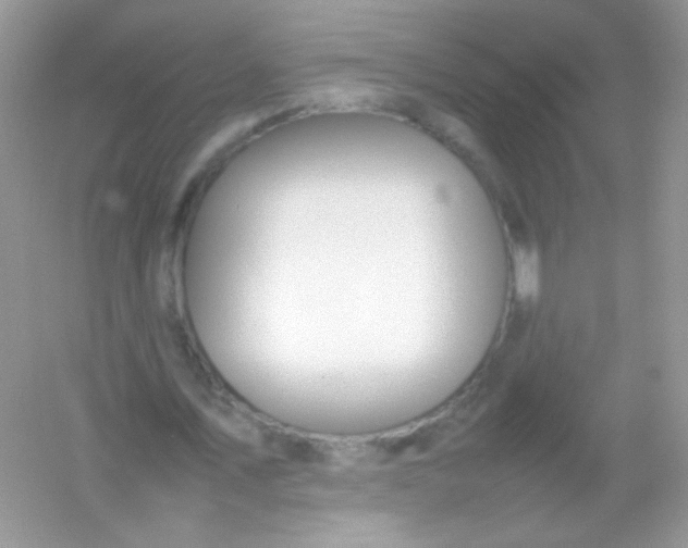 X0000054330579200508111921.png