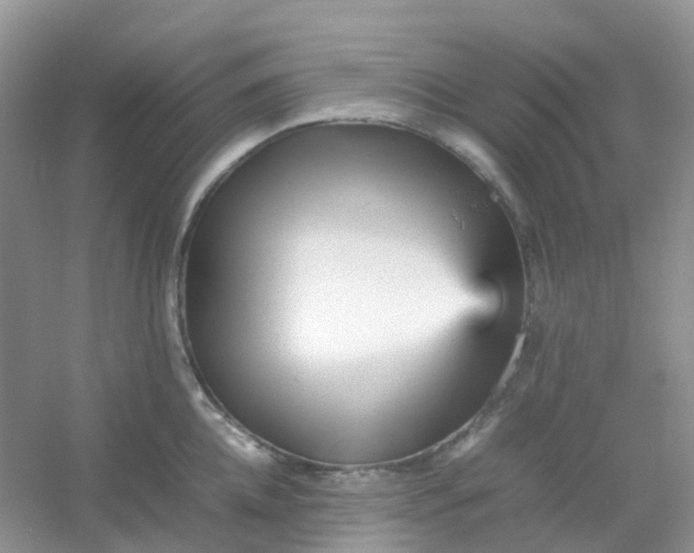 X0000054330952200508111915.png