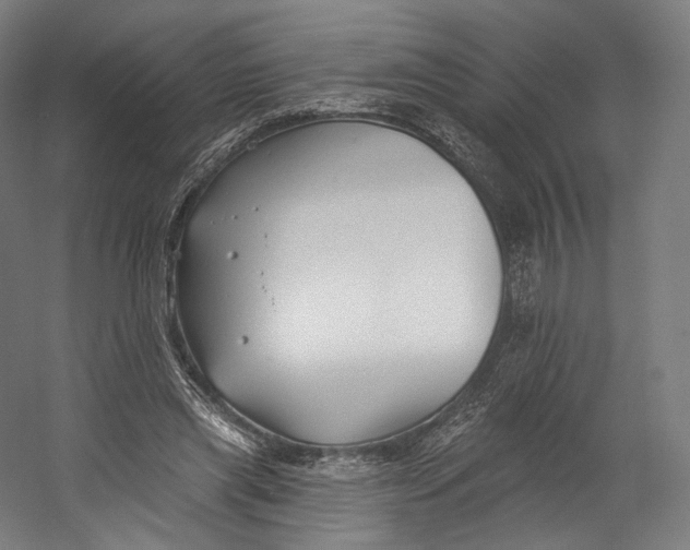 X0000055210445200508301326.png
