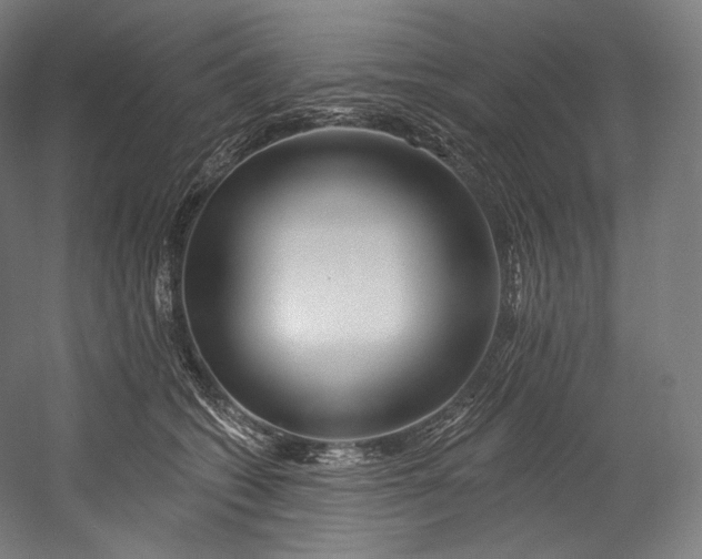 X0000055210562200508301325.png