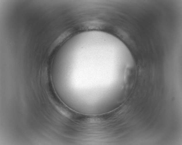 X0000054330250200508111926.png