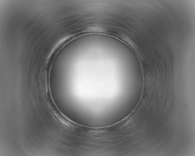 X0000054331123200508111912.png