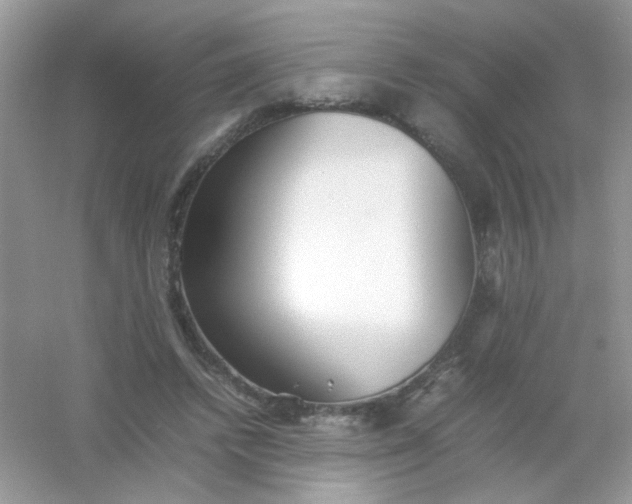 X0000054330448200508111923.png
