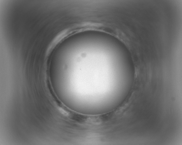 X0000054330101200508111929.png