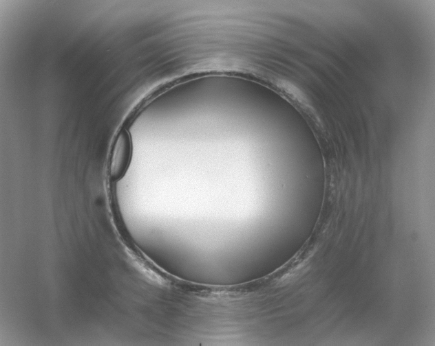 X0000054330942200508111915.png