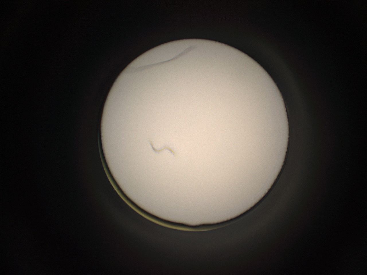 059h_E9_ImagerDefaults_1.jpg