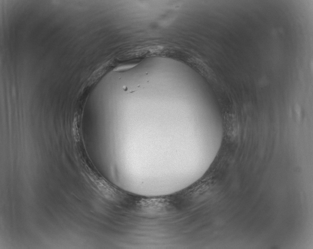 X0000055210378200508301328.png