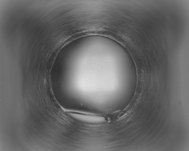 X0000055211257200508301312.png