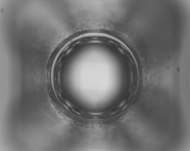 X0000052120439200507262055.png