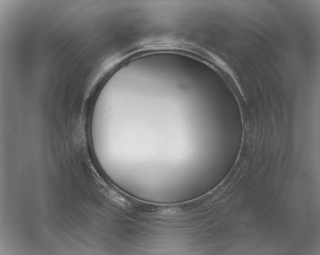 X0000055061464200508161633.png