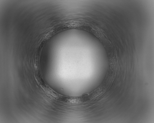 X0000055210755200508301321.png