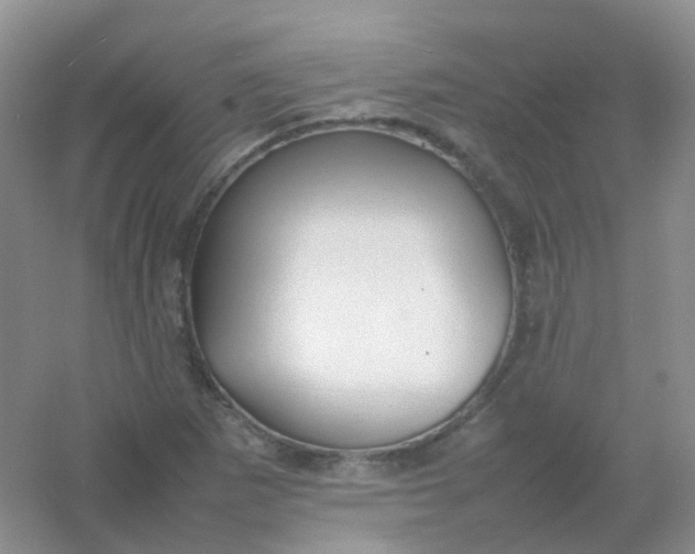X0000054331265200508111909.png