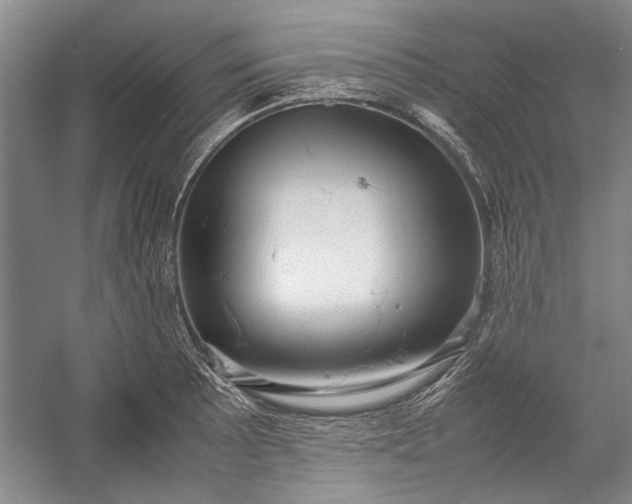 X0000055061089200508161639.png