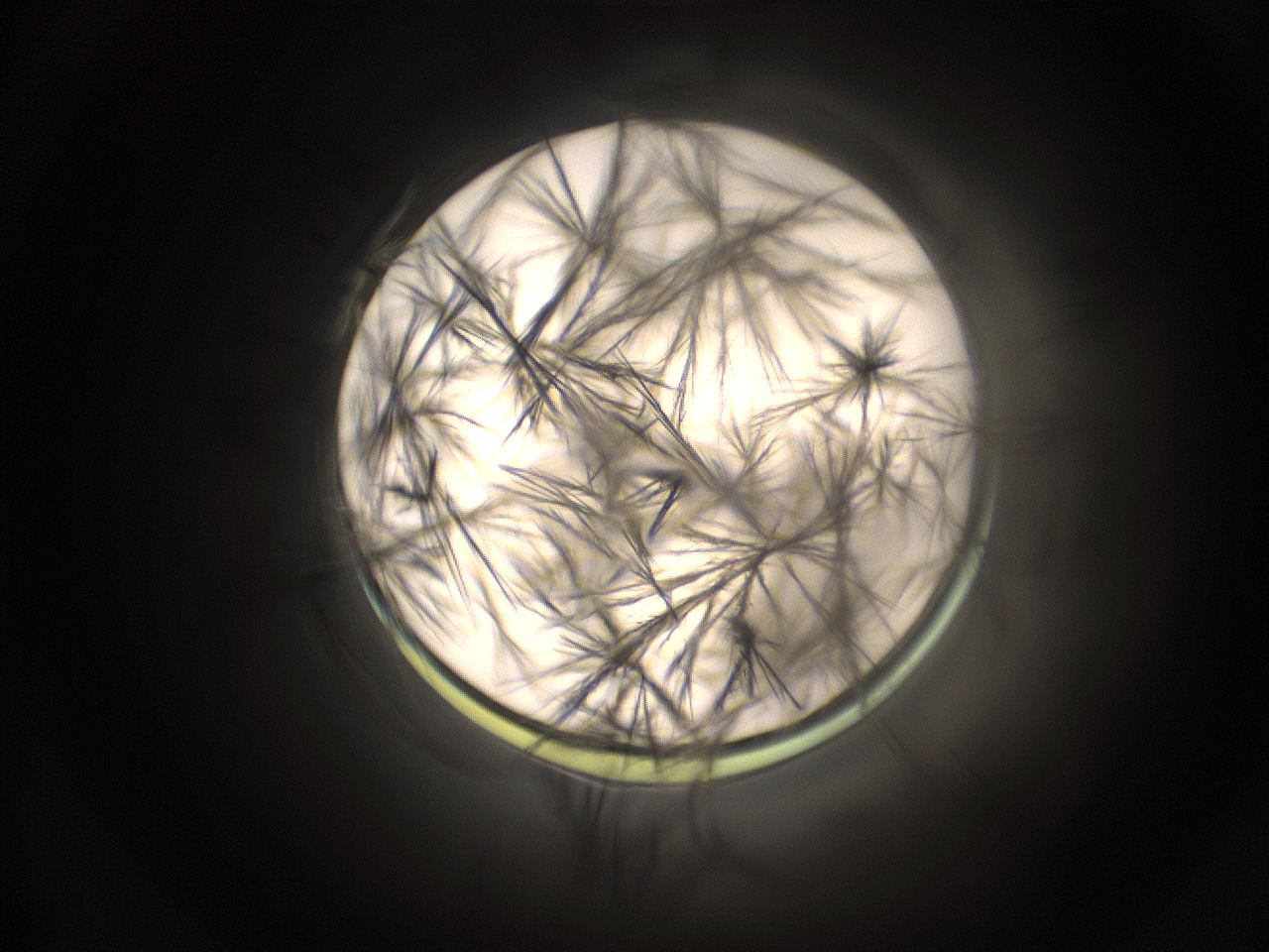 059h_F1_ImagerDefaults_9.jpg